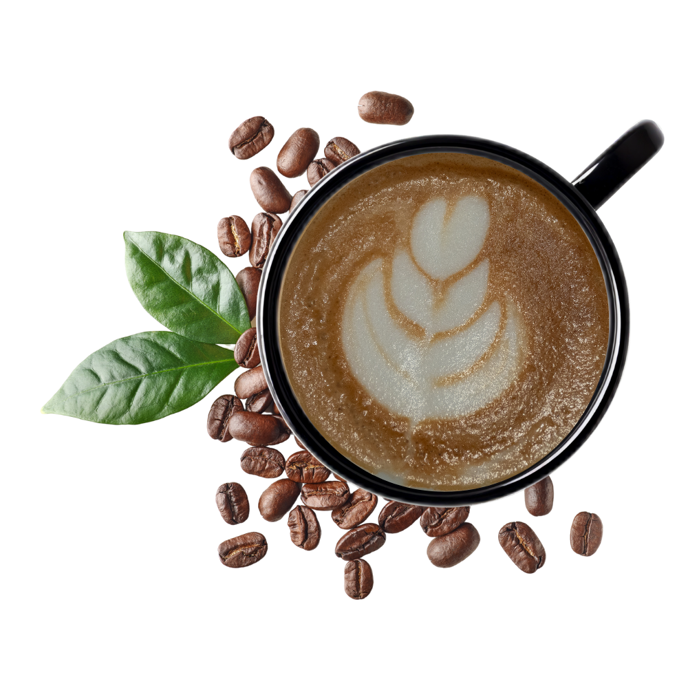 Cappuccino trinken in Testarossa Caffebar in Innsbruck