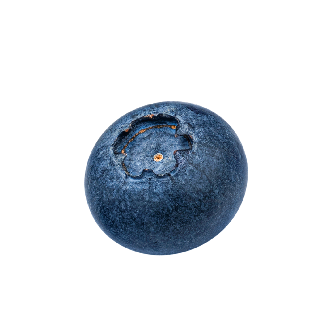 Caffebar Testarossa DEZ Innsbruck Blaubeere Essen Speisen