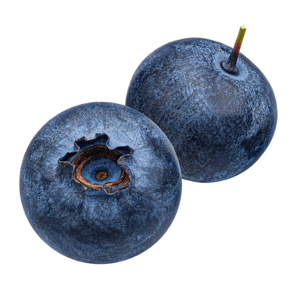 Caffebar Testarossa DEZ Innsbruck Kuchen Essen Speisen Blaubeeren